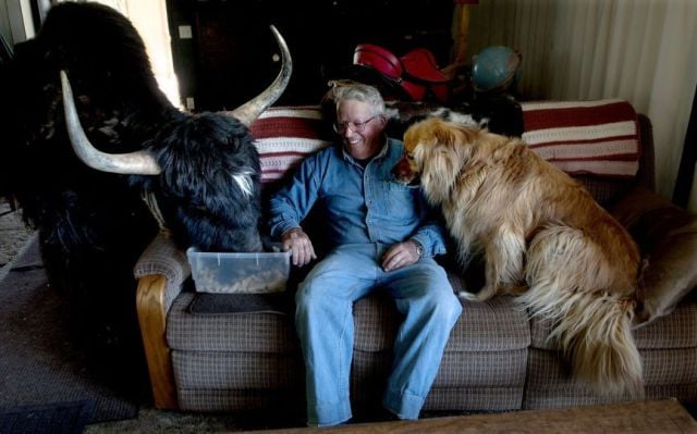 Daily Picdump [WEEKEND EDITION]