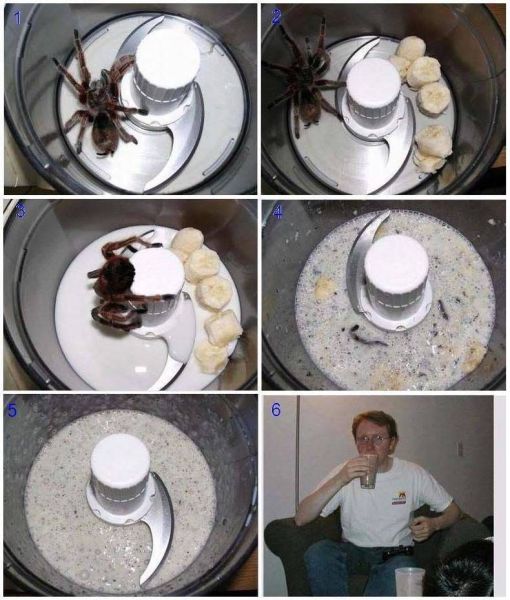 Daily Picdump [WEEKEND EDITION]