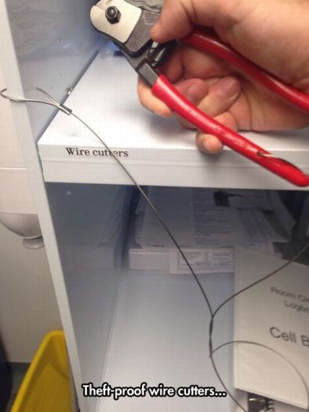 Daily Picdump [WEEKEND EDITION]