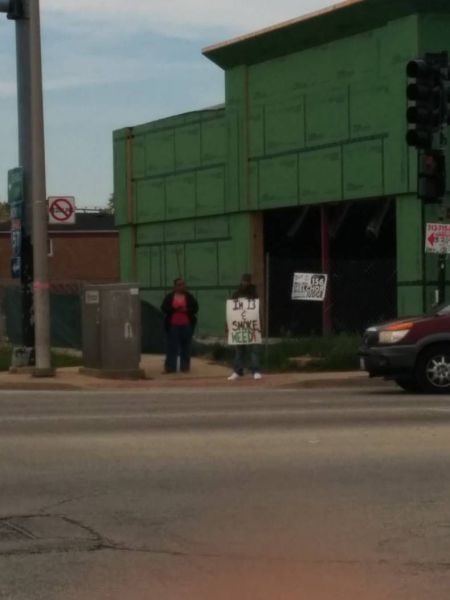 Daily Picdump [WEEKEND EDITION]