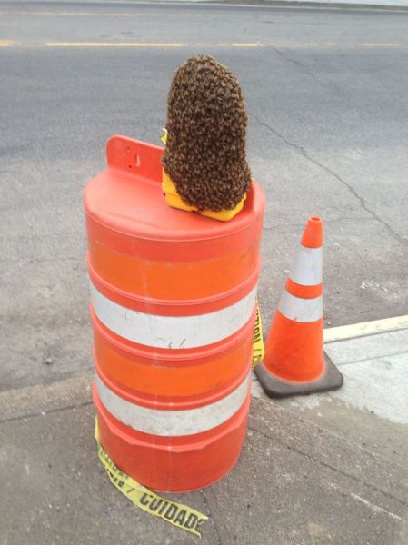 Daily Picdump [WEEKEND EDITION]