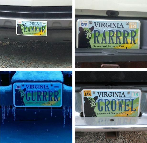 Daily Picdump [WEEKEND EDITION]