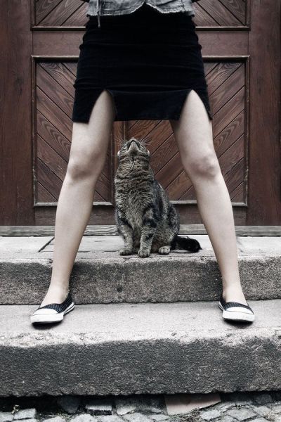 Daily Picdump [WEEKEND EDITION]