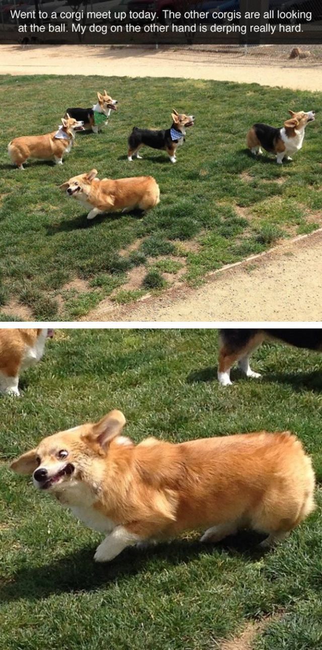 Daily Picdump [WEEKEND EDITION]