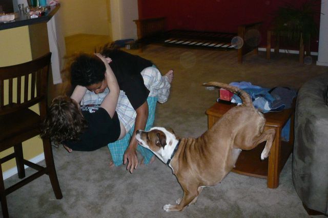 Daily Picdump