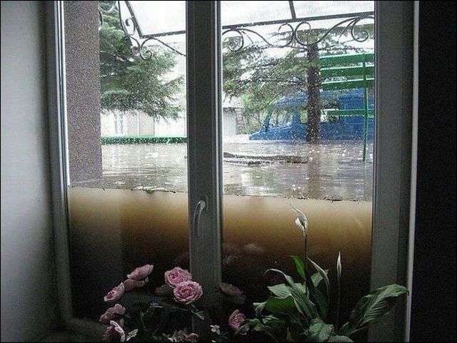 daily picdump 92 pics 14.html - 92 HD Photos | Premium Gallery 2014