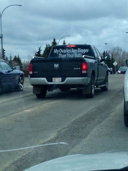 daily picdump 92 pics 14.html - 92 HD Photos | Premium Gallery 2014