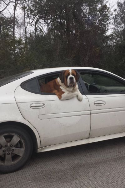 daily picdump 92 pics 14.html - 92 HD Photos | Premium Gallery 2014