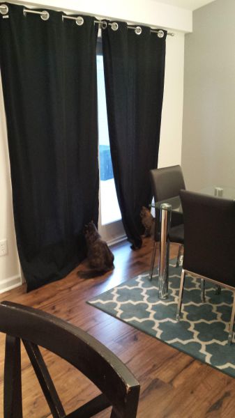 morning picdump 59 pics 1.html - 59 HD Photos | Premium Gallery 2014