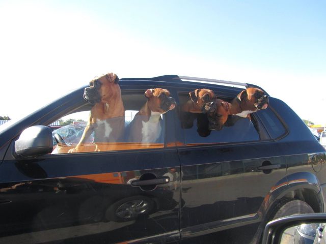 morning picdump 59 pics 1.html - 59 HD Photos | Premium Gallery 2014