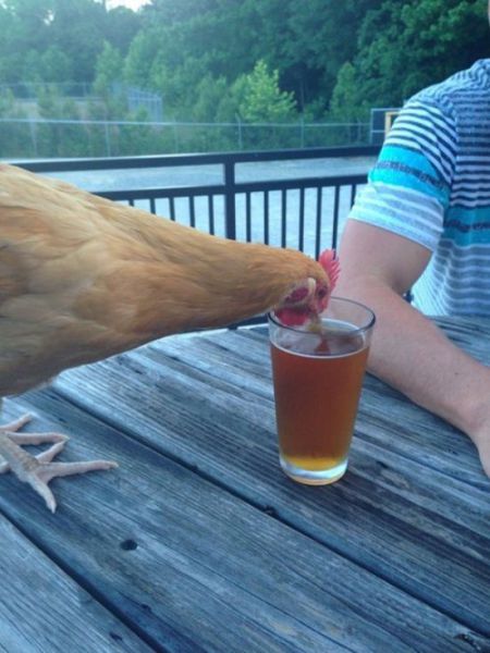 A Little Drunken Debauchery