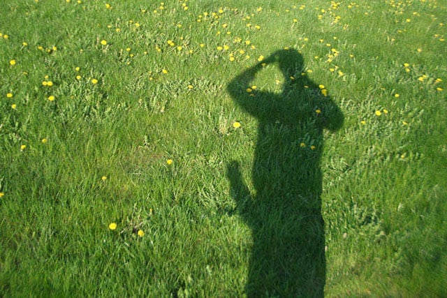 Accidental Shadows Full of Sexual Innuendo