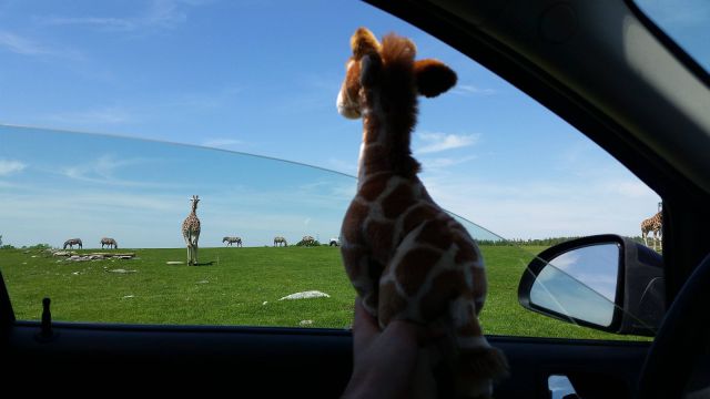 morning picdump 57 pics 2.html - 57 HD Photos | Premium Gallery 2014