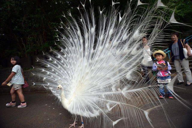 morning picdump 57 pics 2.html - 57 HD Photos | Premium Gallery 2014