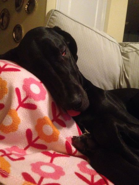 morning picdump 57 pics 2.html - 57 HD Photos | Premium Gallery 2014