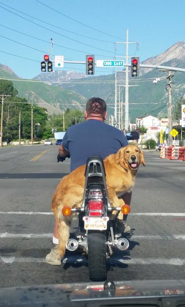 morning picdump 57 pics 2.html - 57 HD Photos | Premium Gallery 2014
