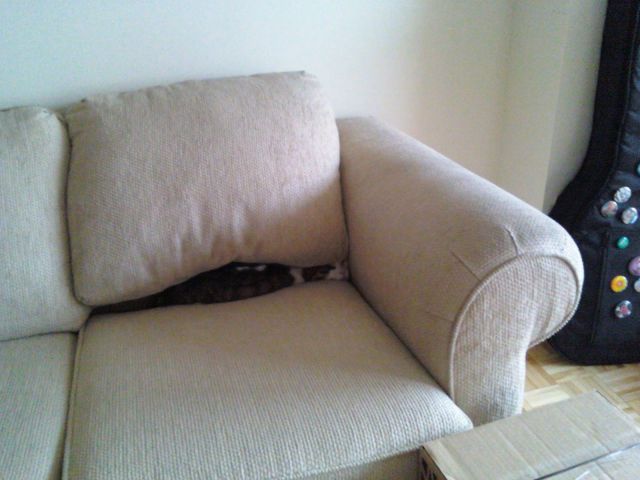 morning picdump 57 pics 2.html - 57 HD Photos | Premium Gallery 2014