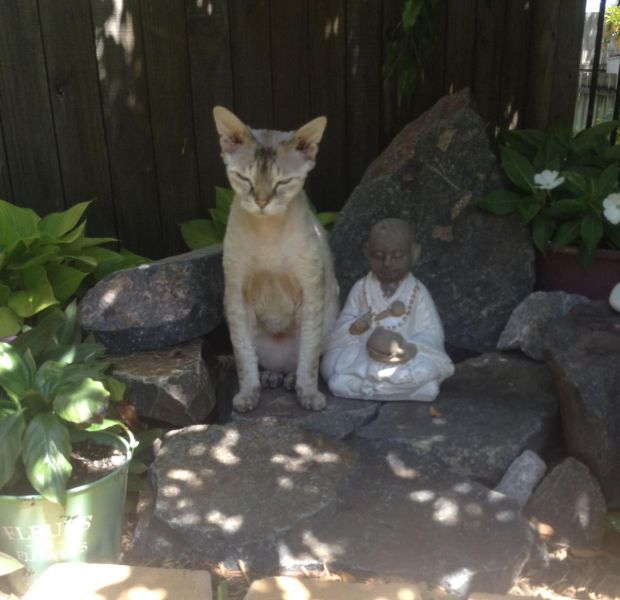 morning picdump 57 pics 2.html - 57 HD Photos | Premium Gallery 2014