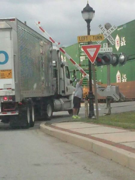 Morning Picdump