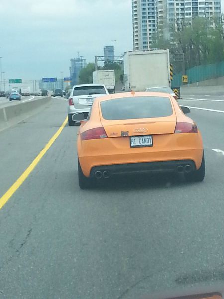 Morning Picdump