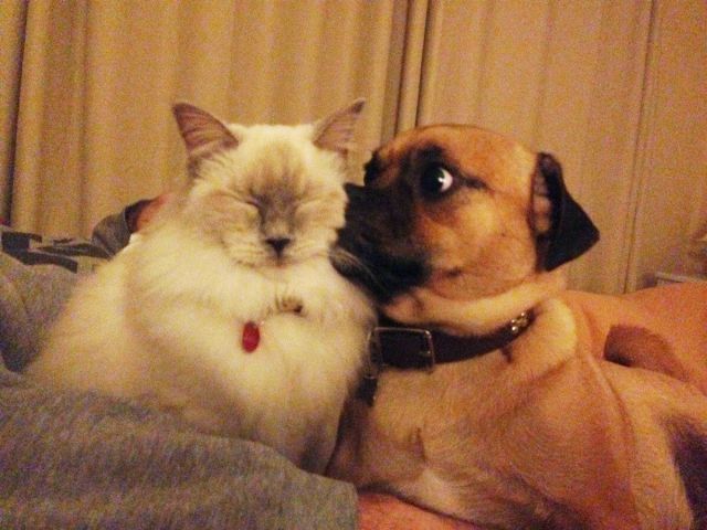 morning picdump 58 pics 2.html - 58 HD Photos | Premium Gallery 2014