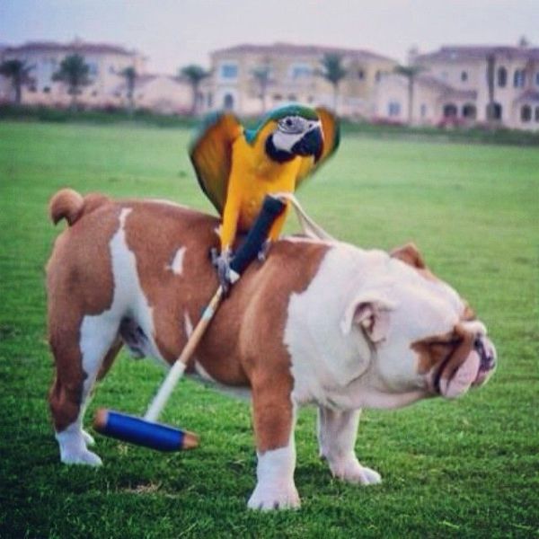 morning picdump 58 pics 2.html - 58 HD Photos | Premium Gallery 2014