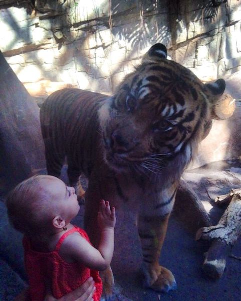 morning picdump 58 pics 2.html - 58 HD Photos | Premium Gallery 2014