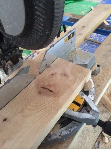 morning picdump 58 pics 2.html - 58 HD Photos | Premium Gallery 2014