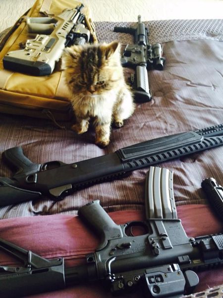 morning picdump 58 pics 2.html - 58 HD Photos | Premium Gallery 2014