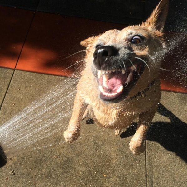 morning picdump 58 pics 2.html - 58 HD Photos | Premium Gallery 2014