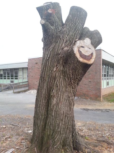 morning picdump 56 pics 54.html - 56 HD Photos | Premium Gallery 2014