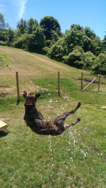 morning picdump 56 pics 54.html - 56 HD Photos | Premium Gallery 2014