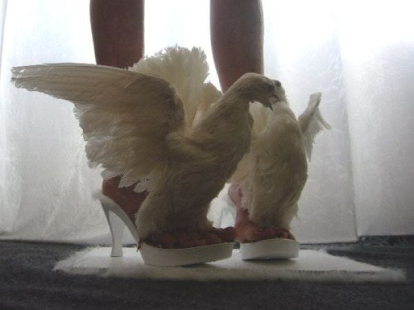 Ridiculous and Funny Wedding Photos