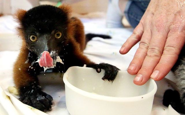 morning picdump 58 pics 2.html - 58 HD Photos | Premium Gallery 2014