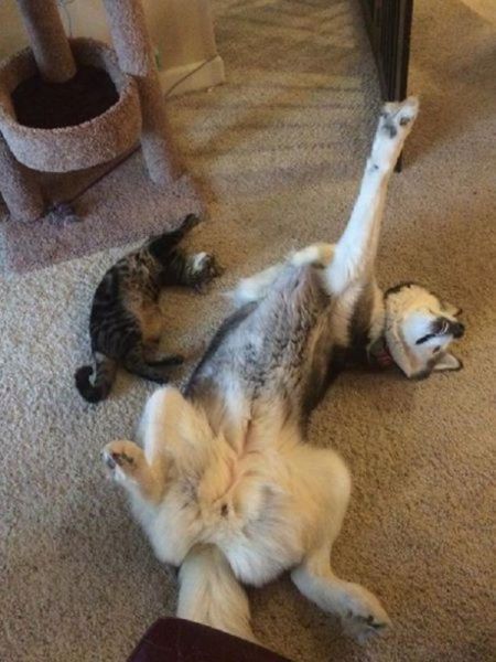 Morning Picdump