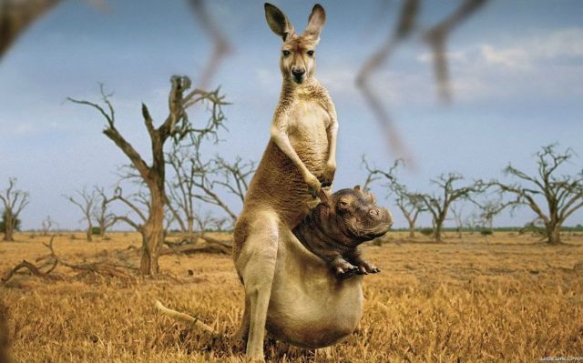 Morning Picdump