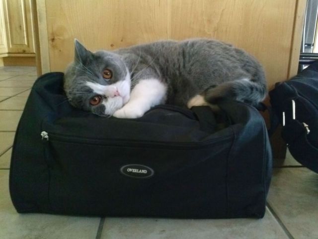Morning Picdump