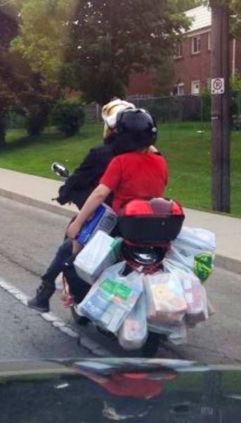 morning picdump 57 pics 12.html - 57 HD Photos | Premium Gallery 2014