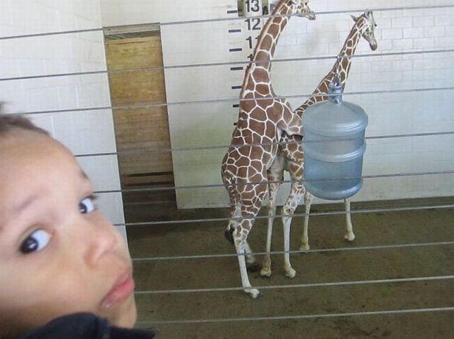 morning picdump 54 pics 9.html - 54 HD Photos | Premium Gallery 2014