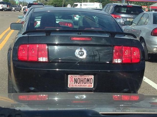 morning picdump 54 pics 9.html - 54 HD Photos | Premium Gallery 2014