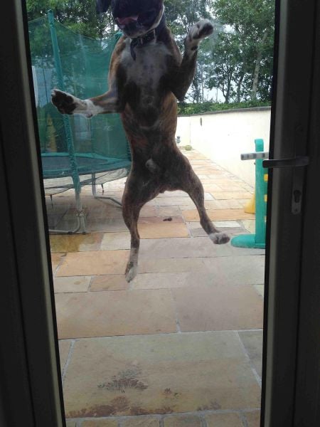 morning picdump 54 pics 9.html - 54 HD Photos | Premium Gallery 2014