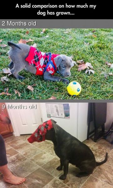 Morning Picdump