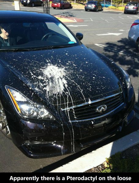 morning picdump 59 pics 15.html - 59 HD Photos | Premium Gallery 2014