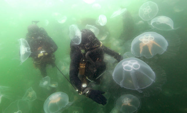 Special Forces Units That Totally Kickass