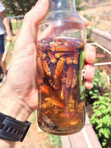 morning picdump 57 pics 17.html - 57 HD Photos | Premium Gallery 2014