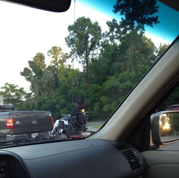 morning picdump 57 pics 17.html - 57 HD Photos | Premium Gallery 2014