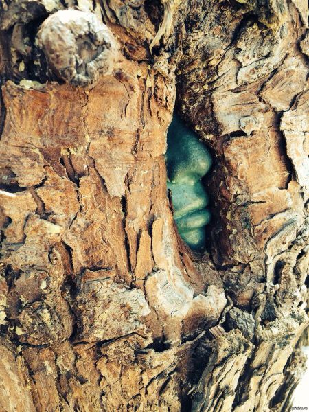 morning picdump 57 pics 17.html - 57 HD Photos | Premium Gallery 2014