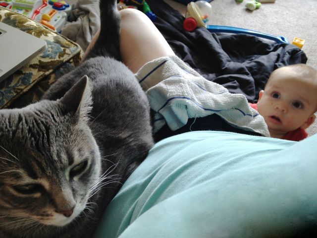 morning picdump 57 pics 17.html - 57 HD Photos | Premium Gallery 2014