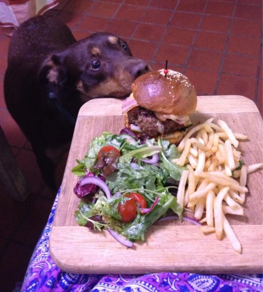 morning picdump 56 pics 25.html - 56 HD Photos | Premium Gallery 2014