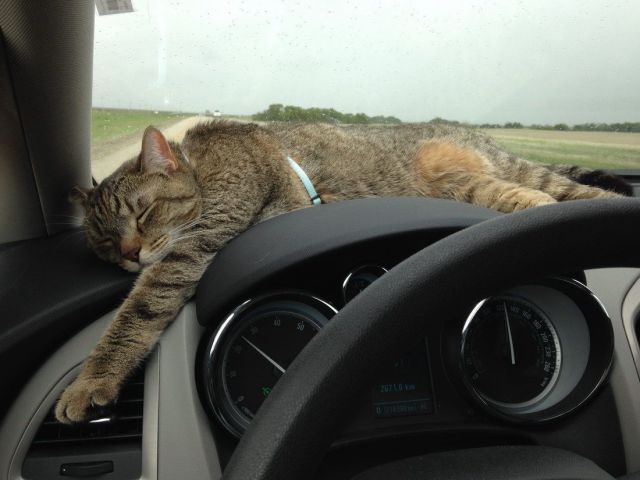 morning picdump 56 pics 25.html - 56 HD Photos | Premium Gallery 2014